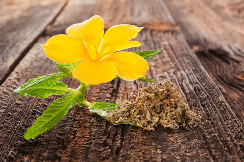 realleaf damiana zigaretten und tabak
