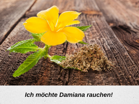 Damiana rauchen