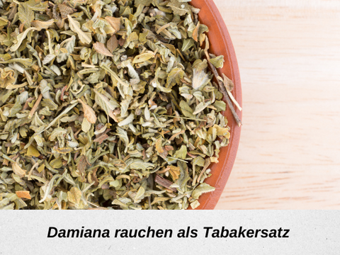 Damiana rauchen