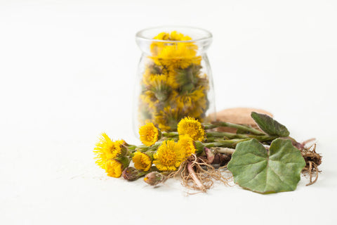 Huttflattich rauchen mit Cannabis