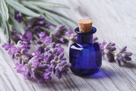 Lavendel rauchen