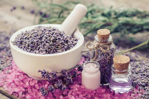 lavendel tabakersatz kaufen