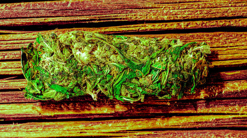 cannabis sorte