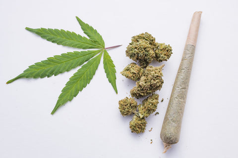 joint filterlos