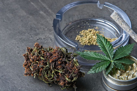 og kush terpene