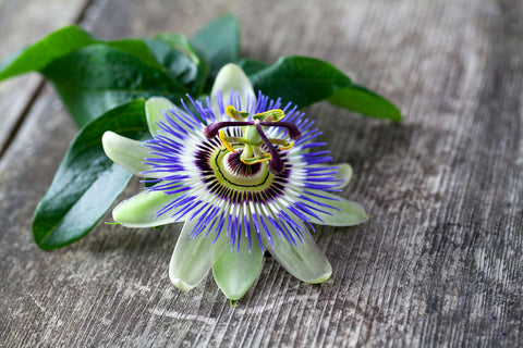 Passionsblume rauchen als Tabakersatz
