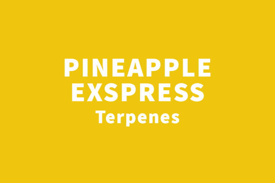 Pineapple Express Terpenen