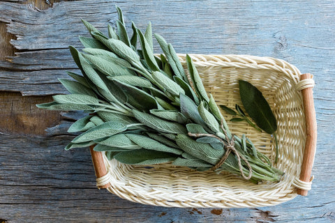 Smoking sage with cannabis