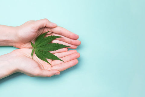 tabakersatz mit og kush terpene