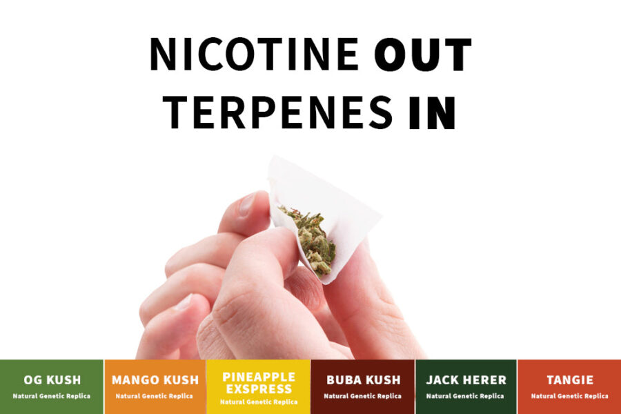 Terpenen ohne Nikotin