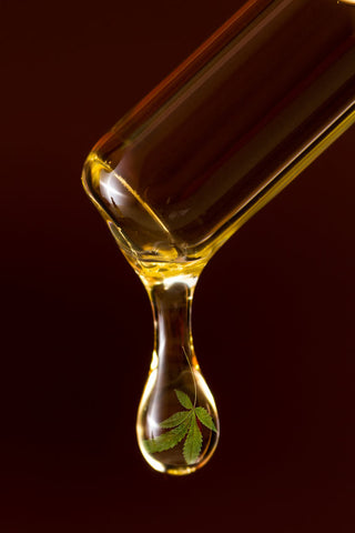 Terpene Wirkung