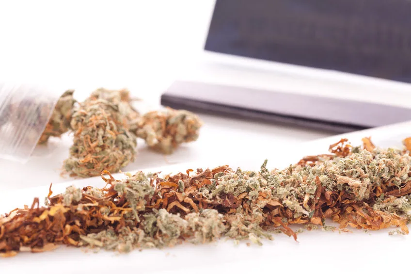 joint ohne filter